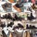 neue-schuhmode